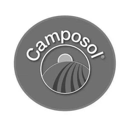 CampoSol